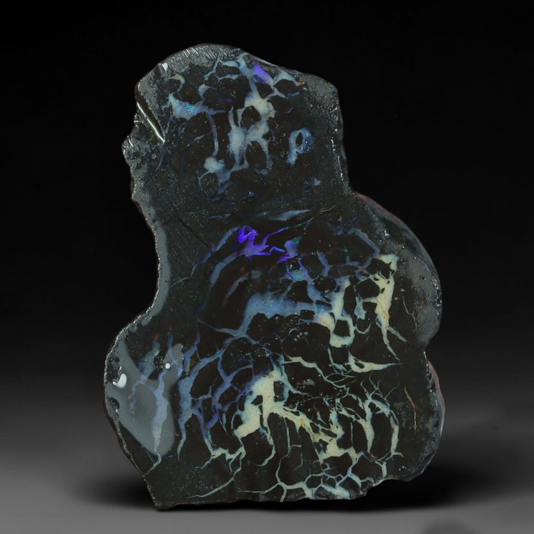 12.62ct Natural Australian Queensland Boulder Opal Sliced Slab Cutting Rough, 10YP: Natural sliced slab rough of Queensland boulder opal cutting grade, featuring rich color ironstone matrix with patterns. The face clearly reveals extensive opal veining and pocket formations running t