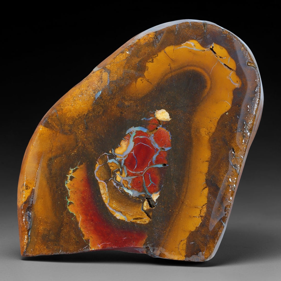83.55ct Natural Australian Queensland Boulder Opal Sliced Slab Cutting Rough, 79AY: Natural sliced slab rough of Queensland boulder opal cutting grade, featuring rich color ironstone matrix with patterns. The face clearly reveals extensive opal veining and pocket formations running t