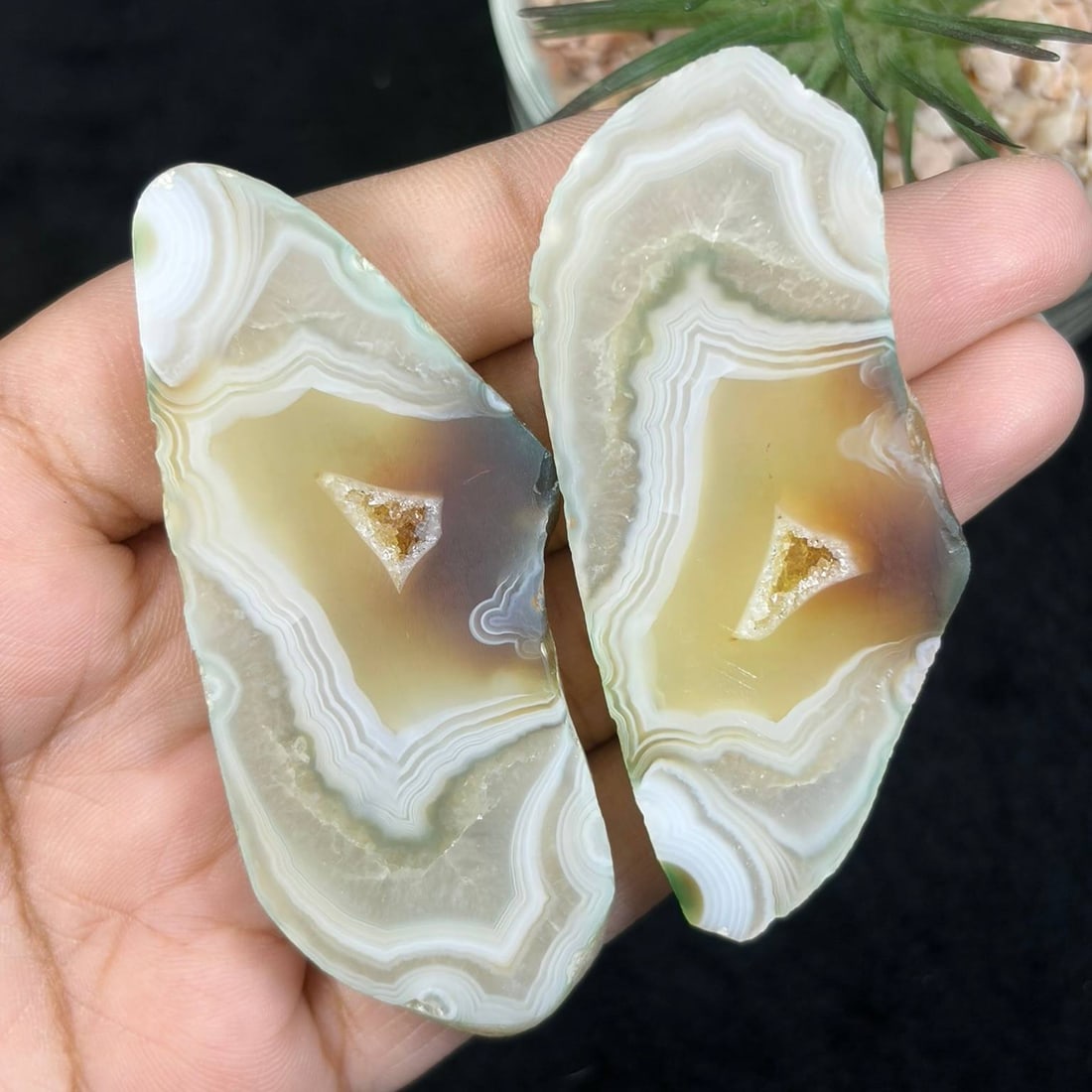 Pair Of Matched Gobi Desert Banded Agate Slices With Druzy Geode Center, 83AR: This matching paired set consists of two polished sliced agate specimens sourced from the Gobi Desert, precisely split to form a mirror-matched pair. Each slice displays intricate concentric banding w