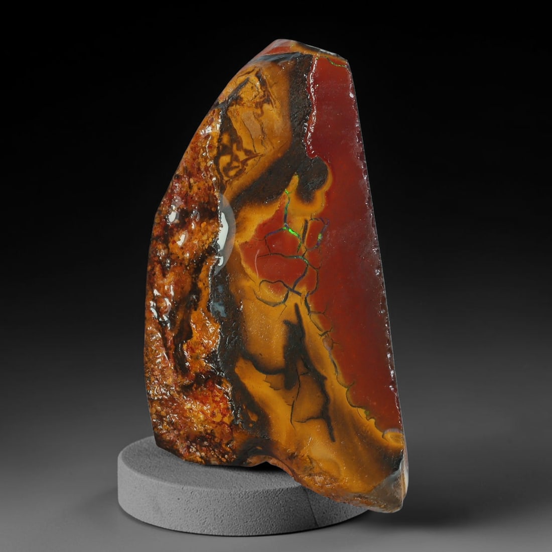 21.83ct Natural Australian Queensland Boulder Opal Sliced Slab Cutting Rough, 18YP: Natural sliced slab rough of Queensland boulder opal cutting grade, featuring rich color ironstone matrix with patterns. The face clearly reveals extensive opal veining and pocket formations running t