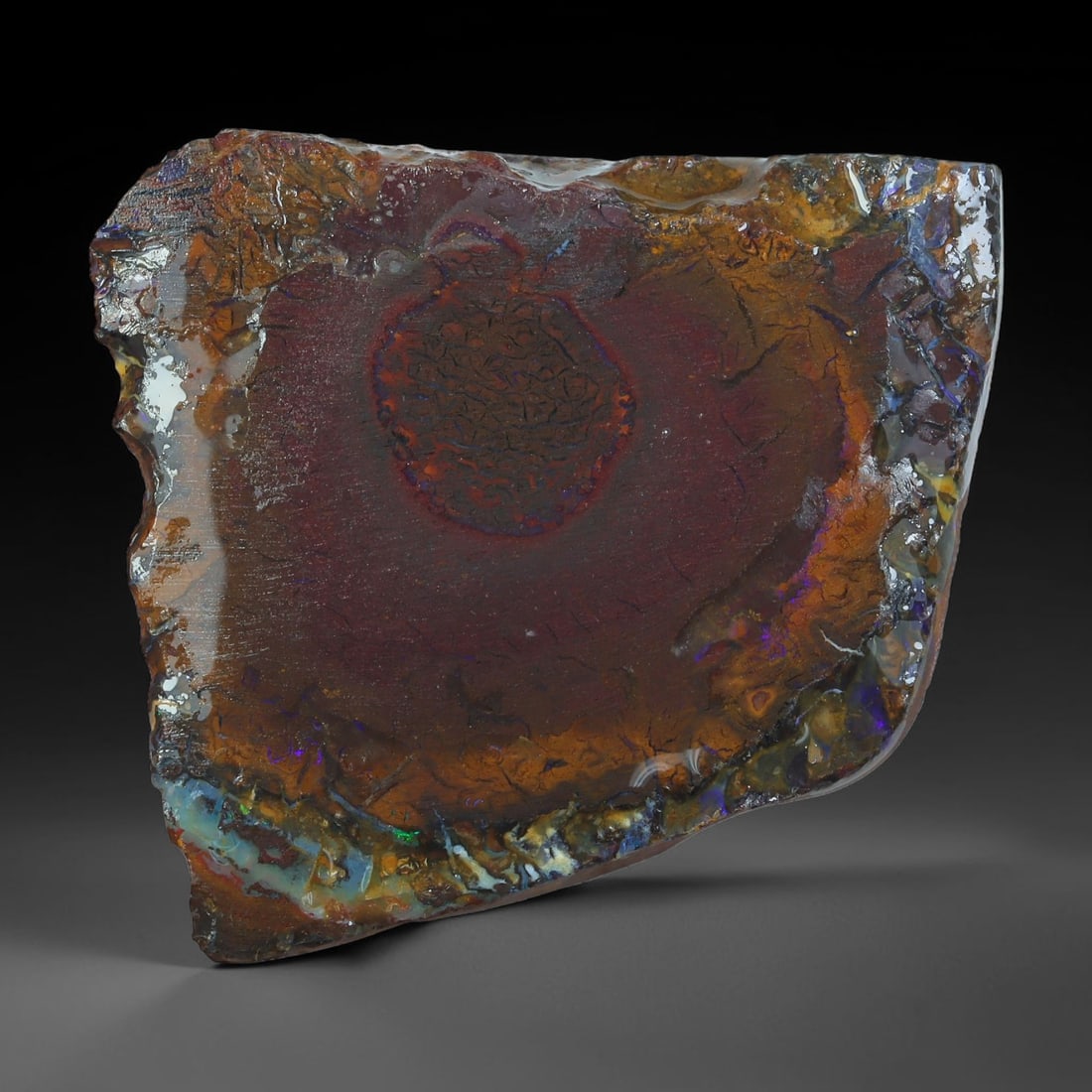 83.20ct Natural Australian Queensland Boulder Opal Sliced Slab Cutting Rough, 84AX: Natural sliced slab rough of Queensland boulder opal cutting grade, featuring rich color ironstone matrix with patterns. The face clearly reveals extensive opal veining and pocket formations running t