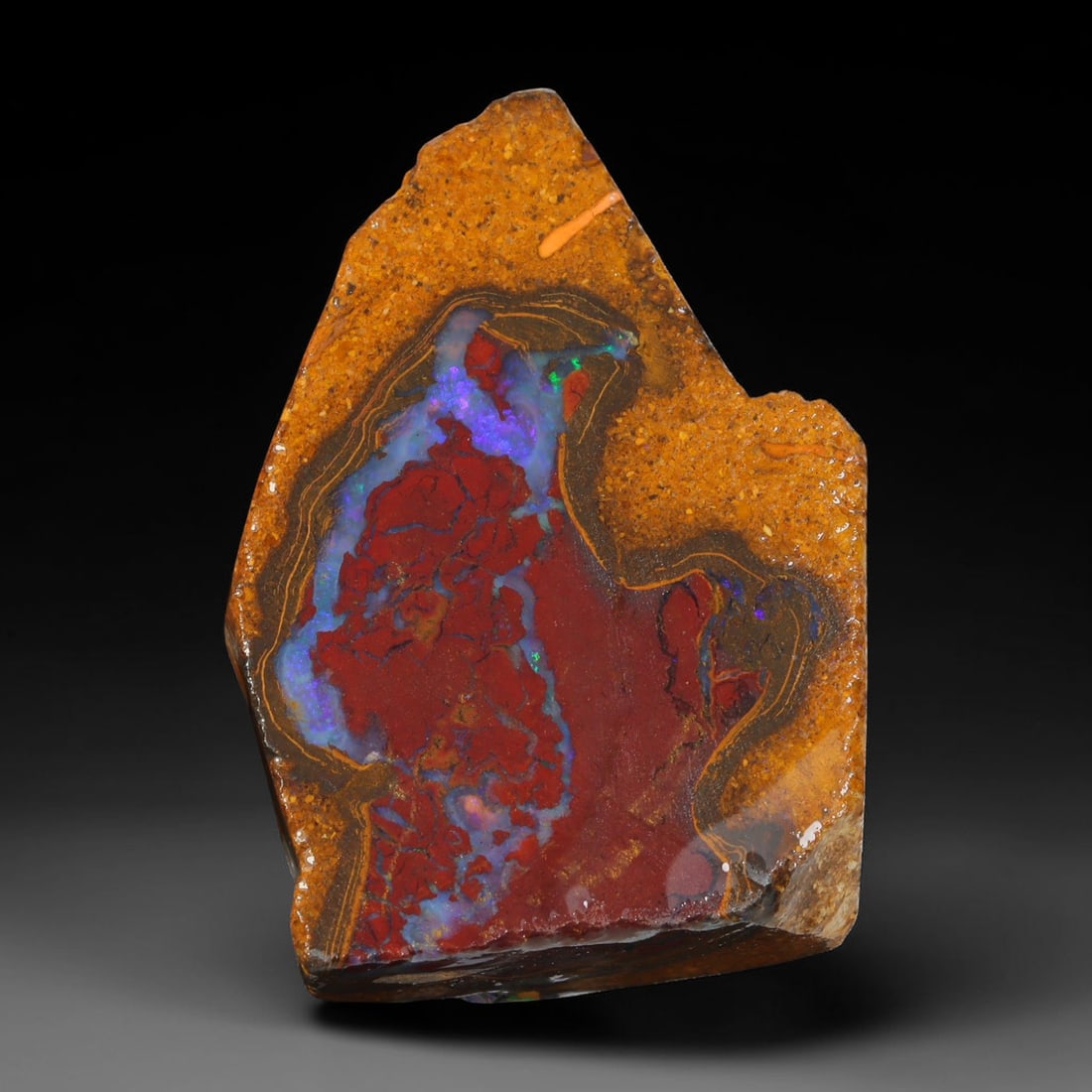 47.88ct Natural Australian Queensland Boulder Opal Sliced Slab Cutting Rough, 3YL: Natural sliced slab rough of Queensland boulder opal cutting grade, featuring rich color ironstone matrix with patterns. The face clearly reveals extensive opal veining and pocket formations running t