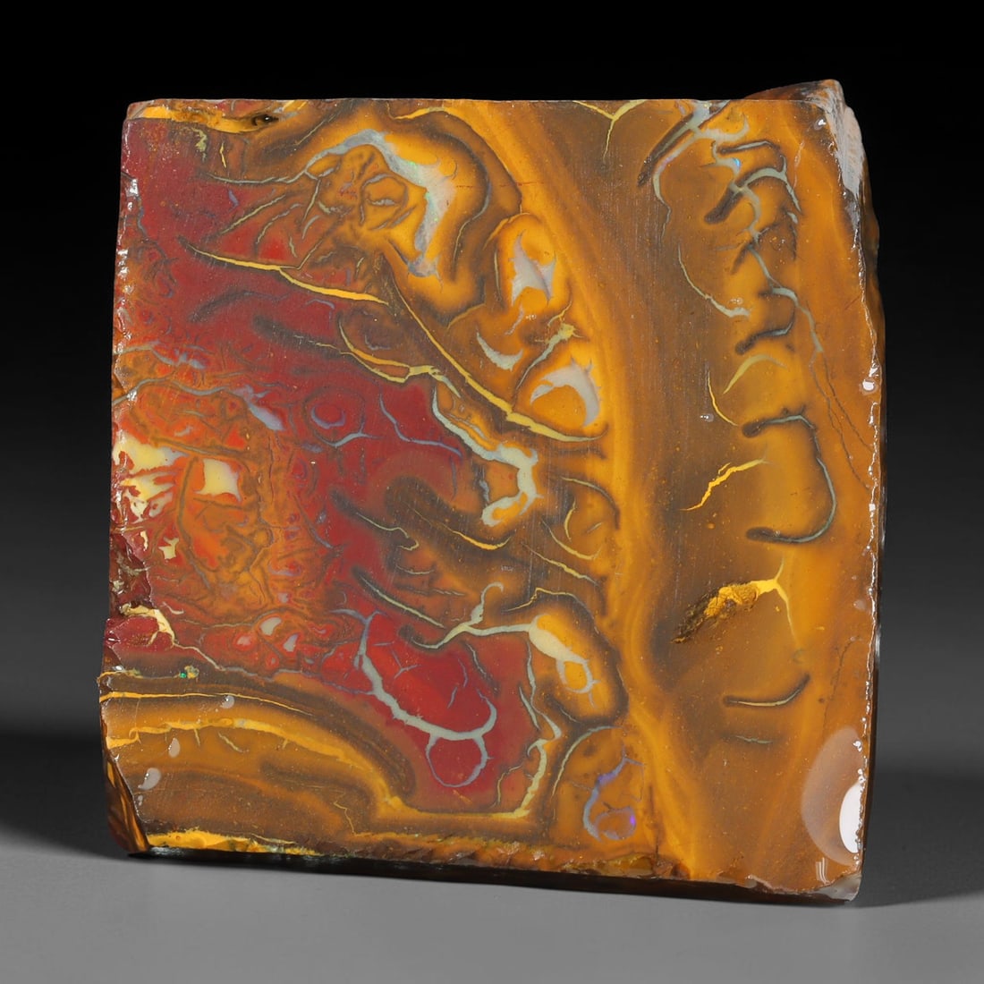 98.52ct Natural Australian Queensland Boulder Opal Sliced Slab Cutting Rough, 10YL: Natural sliced slab rough of Queensland boulder opal cutting grade, featuring rich color ironstone matrix with patterns. The face clearly reveals extensive opal veining and pocket formations running t