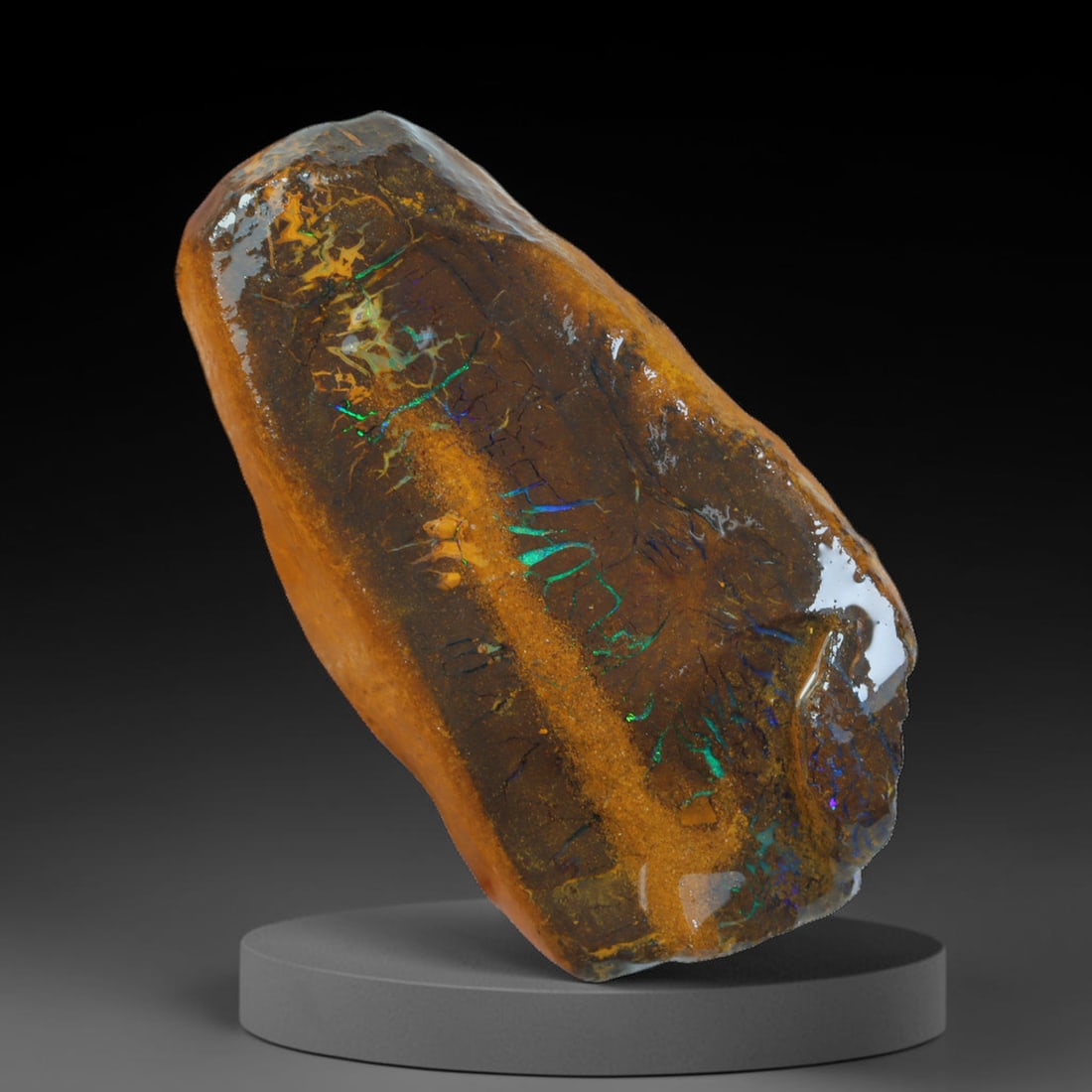 42.25ct Natural Australian Queensland Boulder Opal Sliced Slab Cutting Rough, 20AX: Natural sliced slab rough of Queensland boulder opal cutting grade, featuring rich color ironstone matrix with patterns. The face clearly reveals extensive opal veining and pocket formations running t