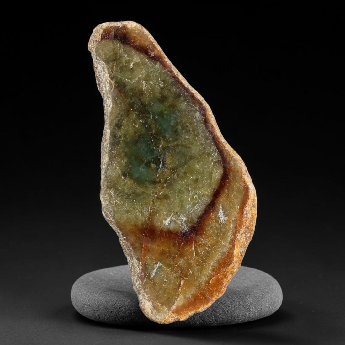 490ct Natural Type A Burmese Red Skin Rim Olive Green Jadeite Jade Sliced Rough, 6FA: This specimen is a natural sliced rough slab of untreated Type A Burmese jadeite, retaining a distinct rich reddish-brown oxidized skin rim tracing the outer perimeter, with its polished cut face disp