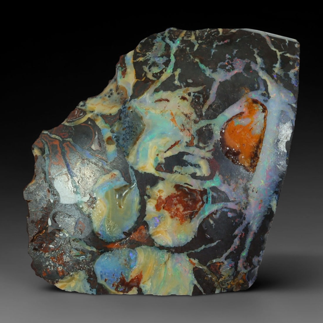 25.92ct Natural Australian Queensland Boulder Opal Sliced Slab Cutting Rough, 39AY: Natural sliced slab rough of Queensland boulder opal cutting grade, featuring rich color ironstone matrix with patterns. The face clearly reveals extensive opal veining and pocket formations running t