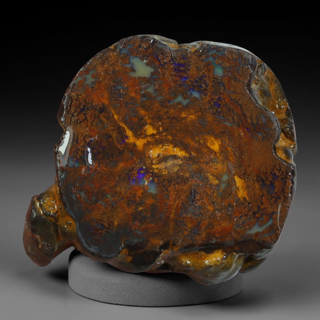 50.72ct Natural Australian Queensland Boulder Opal Sliced Slab Cutting Rough, 71AY: Natural sliced slab rough of Queensland boulder opal cutting grade, featuring rich color ironstone matrix with patterns. The face clearly reveals extensive opal veining and pocket formations running t