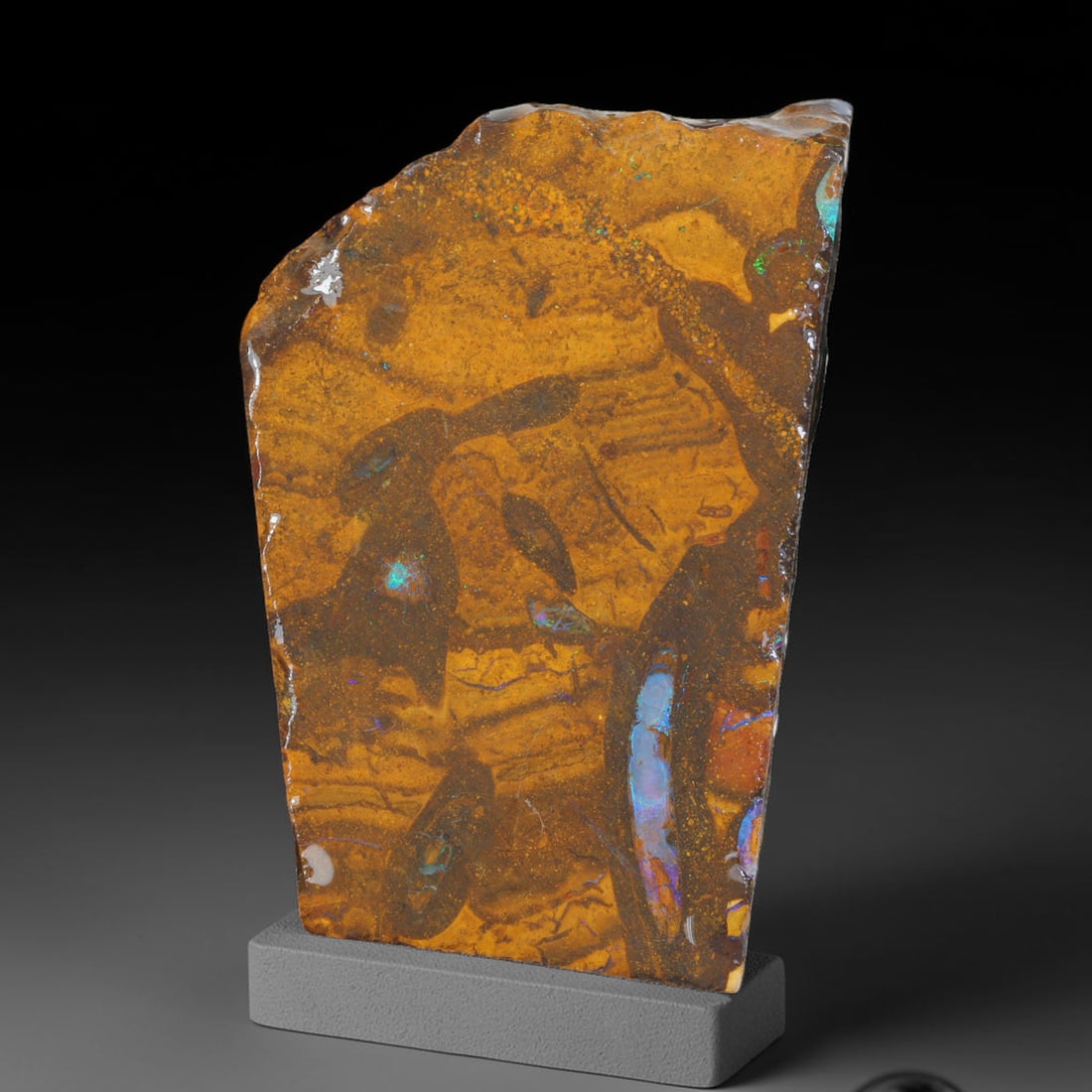 74ct Natural Australian Queensland Boulder Opal Sliced Slab Cutting Rough, 34AX: Natural sliced slab rough of Queensland boulder opal cutting grade, featuring rich color ironstone matrix with patterns. The face clearly reveals extensive opal veining and pocket formations running t