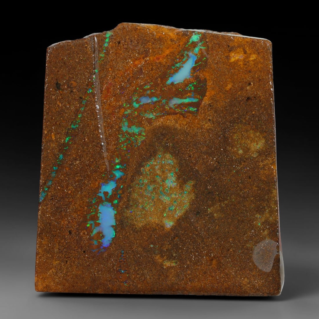 42.76ct Natural Australian Queensland Boulder Opal Sliced Slab Cutting Rough, 58YP: Natural sliced slab rough of Queensland boulder opal cutting grade, featuring rich color ironstone matrix with patterns. The face clearly reveals extensive opal veining and pocket formations running t