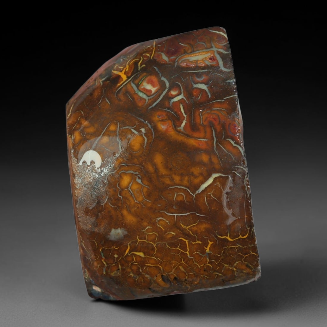 50.30ct Natural Australian Queensland Boulder Opal Sliced Slab Cutting Rough, 12YP: Natural sliced slab rough of Queensland boulder opal cutting grade, featuring rich color ironstone matrix with patterns. The face clearly reveals extensive opal veining and pocket formations running t