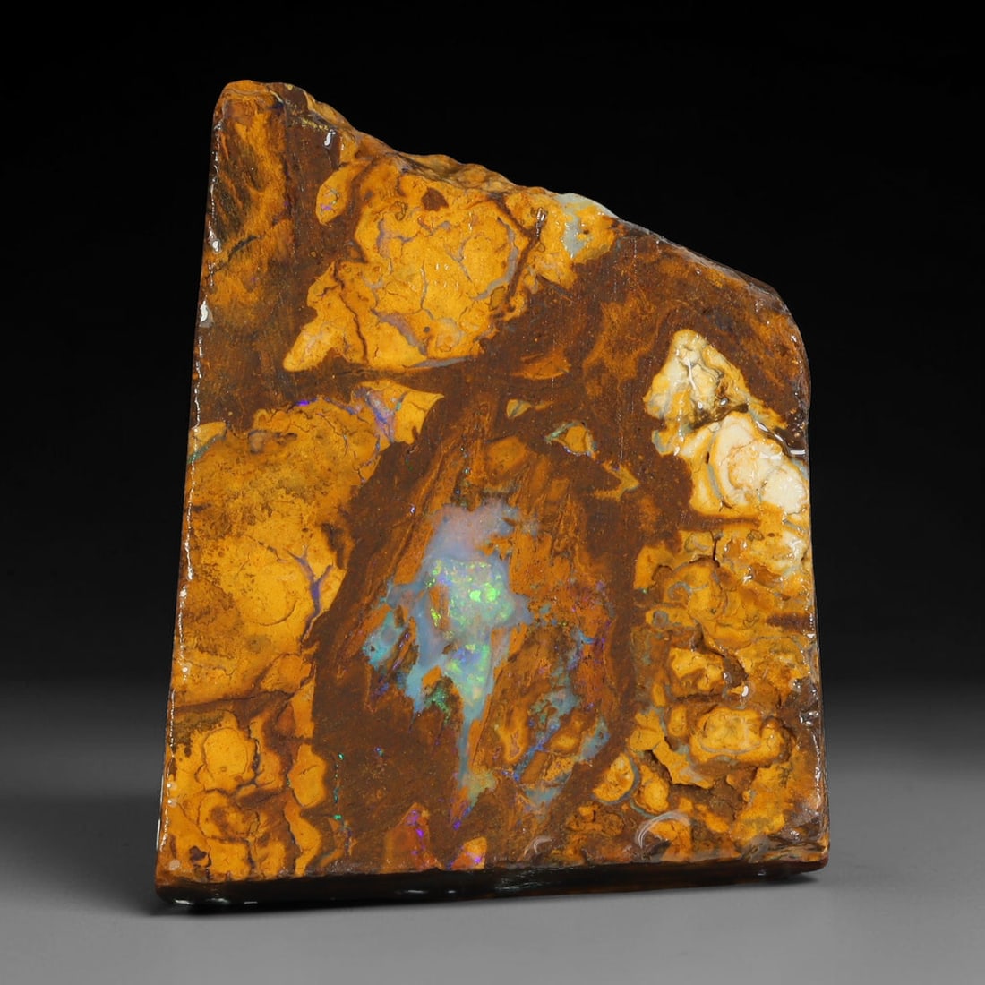 49.27ct Natural Australian Queensland Boulder Opal Sliced Slab Cutting Rough, 52YL: Natural sliced slab rough of Queensland boulder opal cutting grade, featuring rich color ironstone matrix with patterns. The face clearly reveals extensive opal veining and pocket formations running t