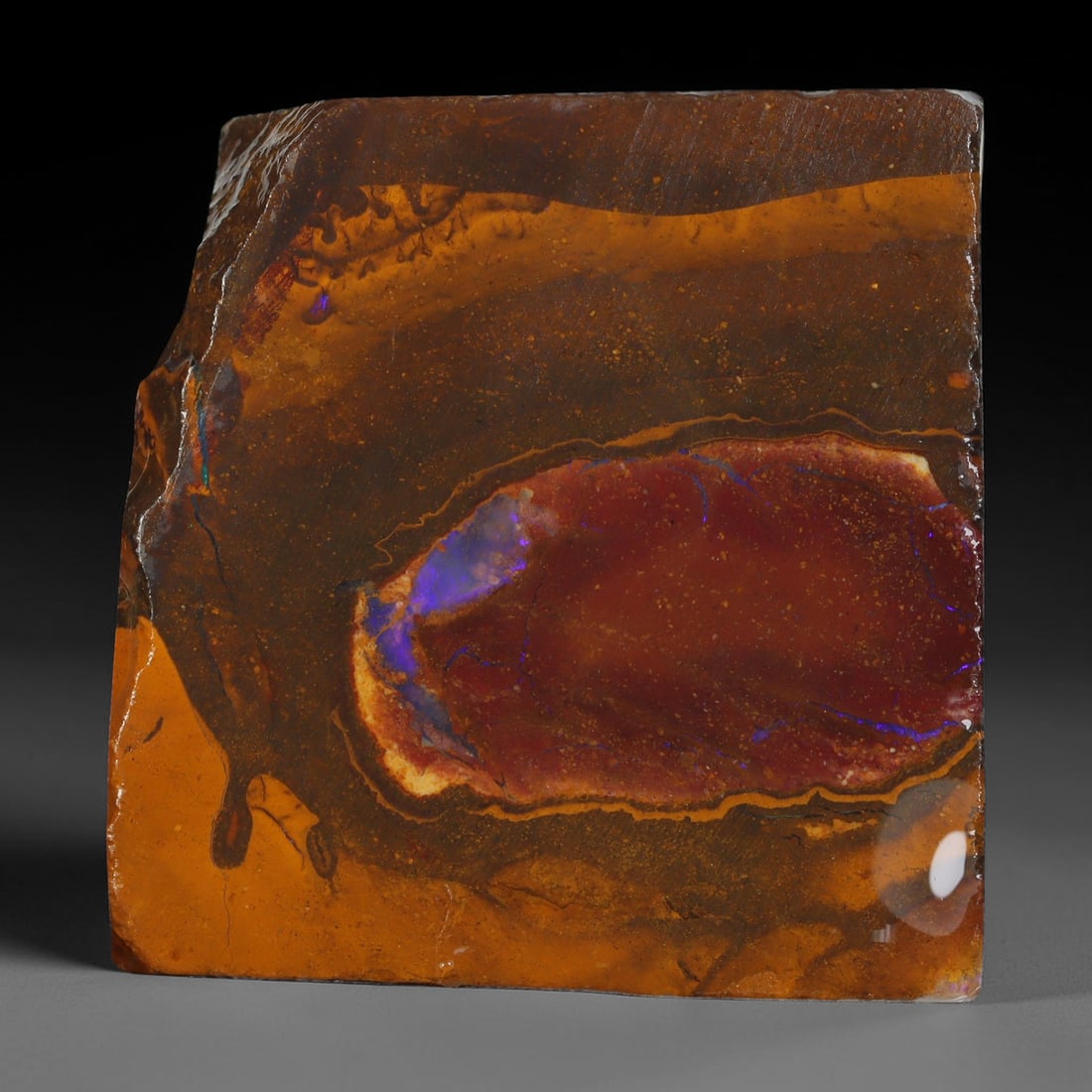 104.17ct Natural Australian Queensland Boulder Opal Sliced Slab Cutting Rough, 42YL: Natural sliced slab rough of Queensland boulder opal cutting grade, featuring rich color ironstone matrix with patterns. The face clearly reveals extensive opal veining and pocket formations running t