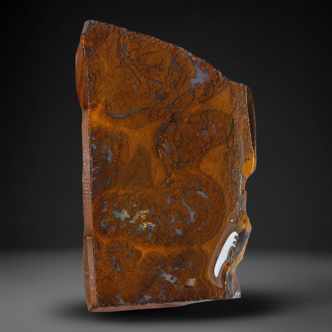 52.21ct Natural Australian Queensland Boulder Opal Sliced Slab Cutting Rough, 93YP: Natural sliced slab rough of Queensland boulder opal cutting grade, featuring rich color ironstone matrix with patterns. The face clearly reveals extensive opal veining and pocket formations running t