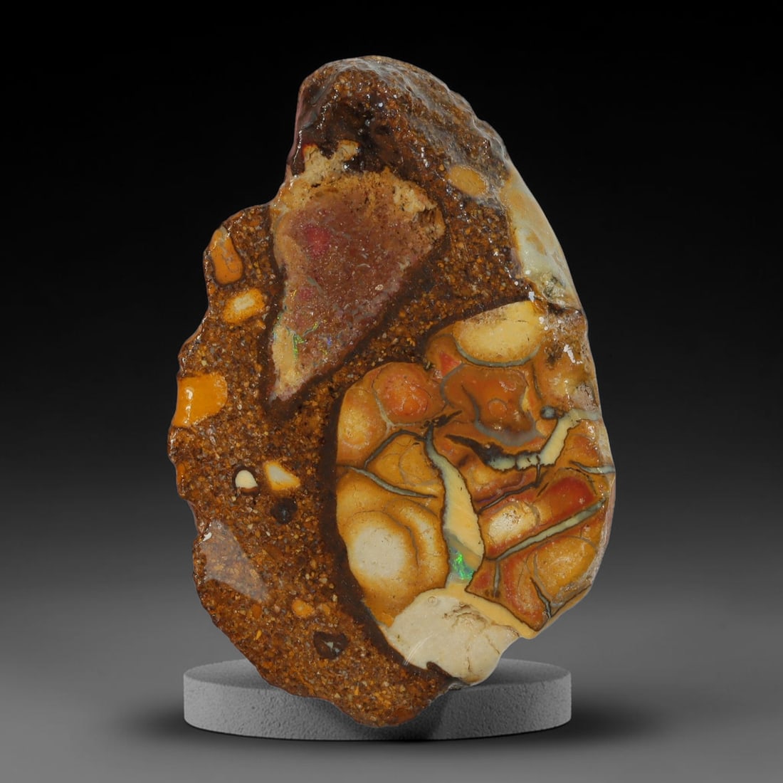 24.70ct Natural Australian Queensland Boulder Opal Sliced Slab Cutting Rough, 91YL: Natural sliced slab rough of Queensland boulder opal cutting grade, featuring rich color ironstone matrix with patterns. The face clearly reveals extensive opal veining and pocket formations running t