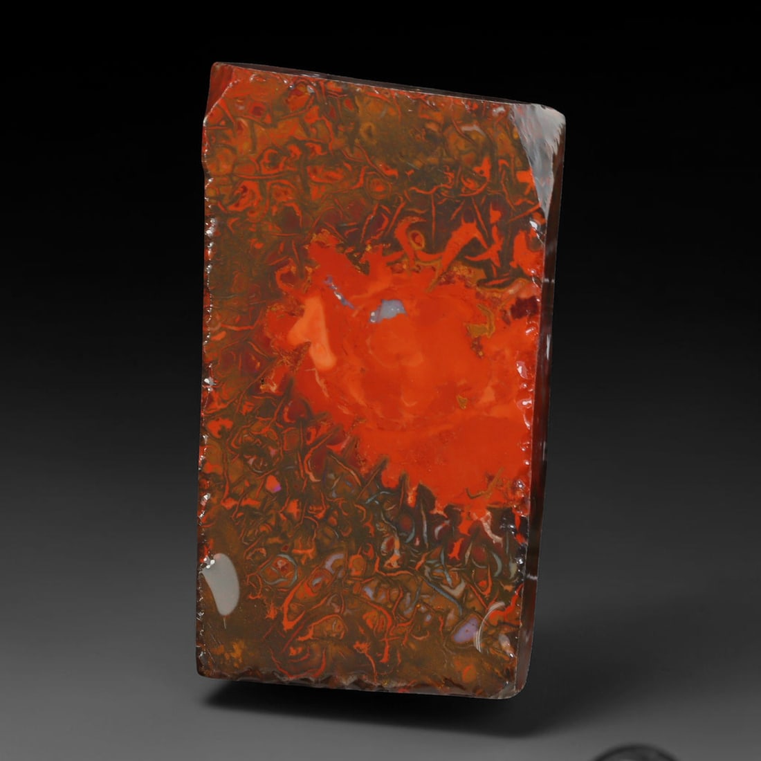 68.07ct Natural Australian Queensland Boulder Opal Sliced Slab Cutting Rough, 67YL: Natural sliced slab rough of Queensland boulder opal cutting grade, featuring rich color ironstone matrix with patterns. The face clearly reveals extensive opal veining and pocket formations running t