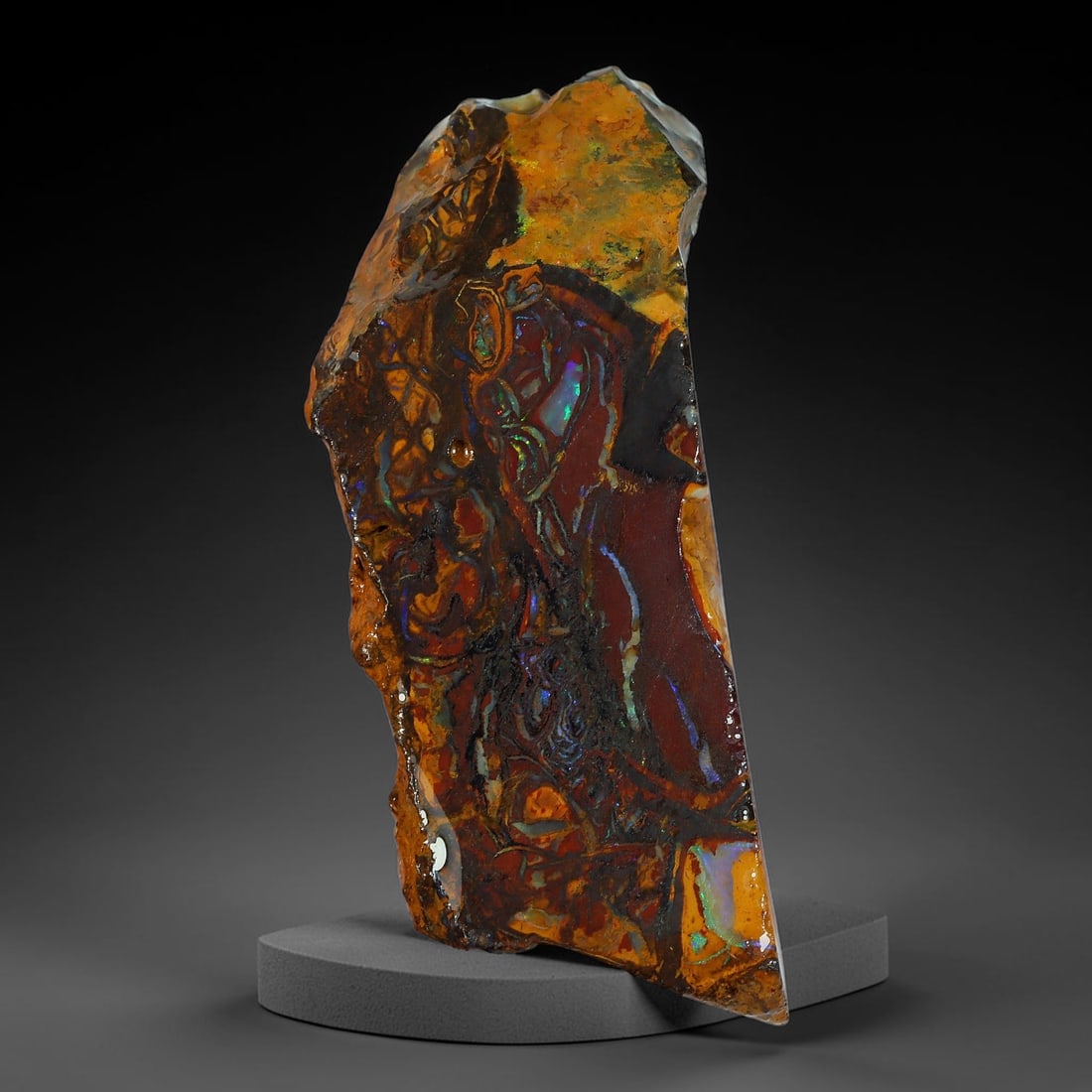 46.15ct Natural Australian Queensland Boulder Opal Sliced Slab Cutting Rough, 85YP: Natural sliced slab rough of Queensland boulder opal cutting grade, featuring rich color ironstone matrix with patterns. The face clearly reveals extensive opal veining and pocket formations running t
