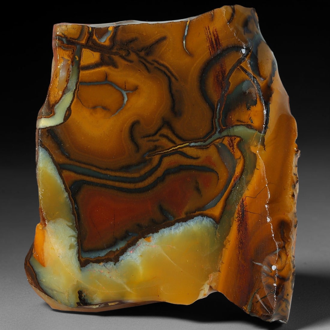 41.35ct Natural Australian Queensland Boulder Opal Sliced Slab Cutting Rough, 54YP: Natural sliced slab rough of Queensland boulder opal cutting grade, featuring rich color ironstone matrix with patterns. The face clearly reveals extensive opal veining and pocket formations running t
