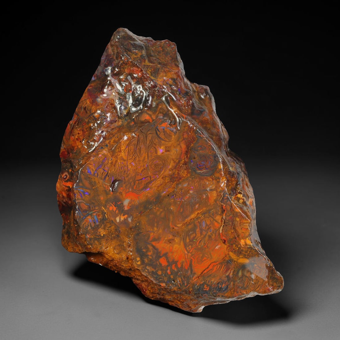 64.76ct Natural Australian Queensland Boulder Opal Sliced Slab Cutting Rough, 38YL: Natural sliced slab rough of Queensland boulder opal cutting grade, featuring rich color ironstone matrix with patterns. The face clearly reveals extensive opal veining and pocket formations running t