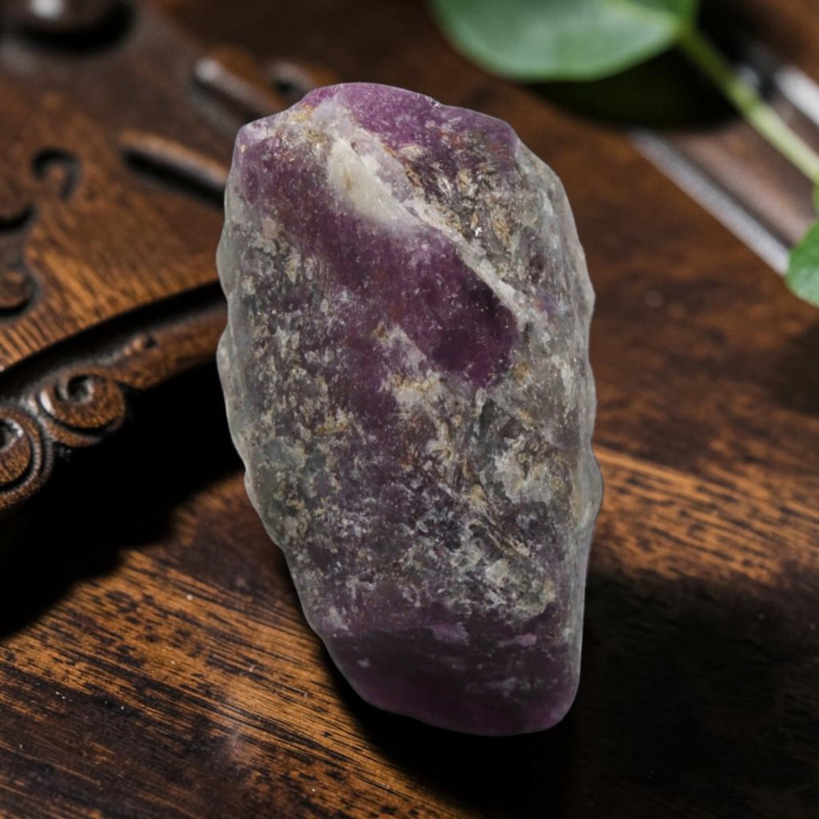 15.56ct Natural Mauritania Ruby Rough (Unheated), 78XE: This unheated Mauritania ruby rough is a captivating natural crystal specimen, featuring vivid magenta-purple ruby formations embedded in a contrasting greyish matrix. The stone's rugged, unpolished s