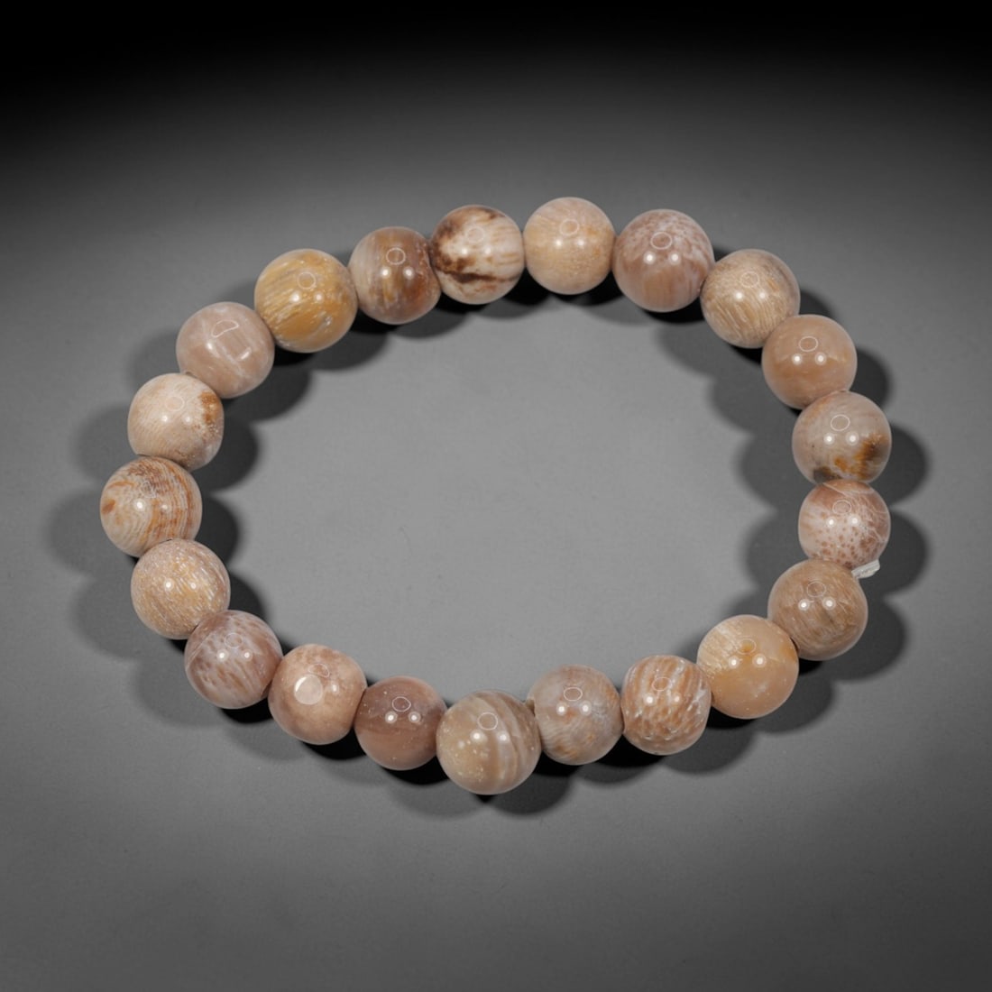A Fossilised Wood Bead Bracelet, 59ZK: Composed of a single strand of spherical fossilised wood beads forming a circular bracelet. The beads exhibit preserved organic textures, including fine linear patterns and subtle concentric banding, 