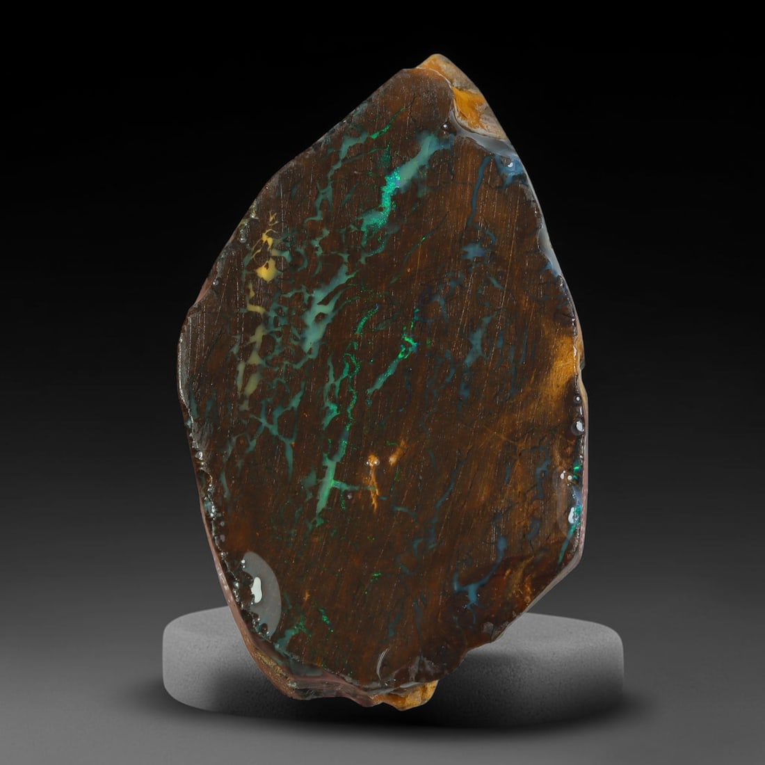 57.77ct Natural Australian Queensland Boulder Opal Sliced Slab Cutting Rough, 4YP: Natural sliced slab rough of Queensland boulder opal cutting grade, featuring rich color ironstone matrix with patterns. The face clearly reveals extensive opal veining and pocket formations running t
