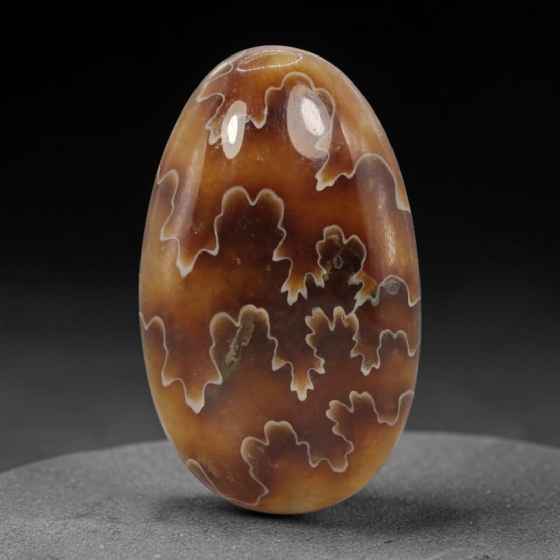 13.40 Carats Brown Ammonite Cabochon - Natural Madagascar Origin, 91XB (1 of 2)
