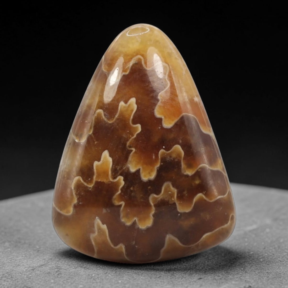 27.70 Carats Warm Amber Ammonite Cabochon - Natural Madagascar Origin, 92XB: This striking triangular cabochon of Madagascan ammonite is a showcase of ancient natural artistry. The stone's warm amber and deep caramel hues are dramatically contrasted by intricate, white calcite