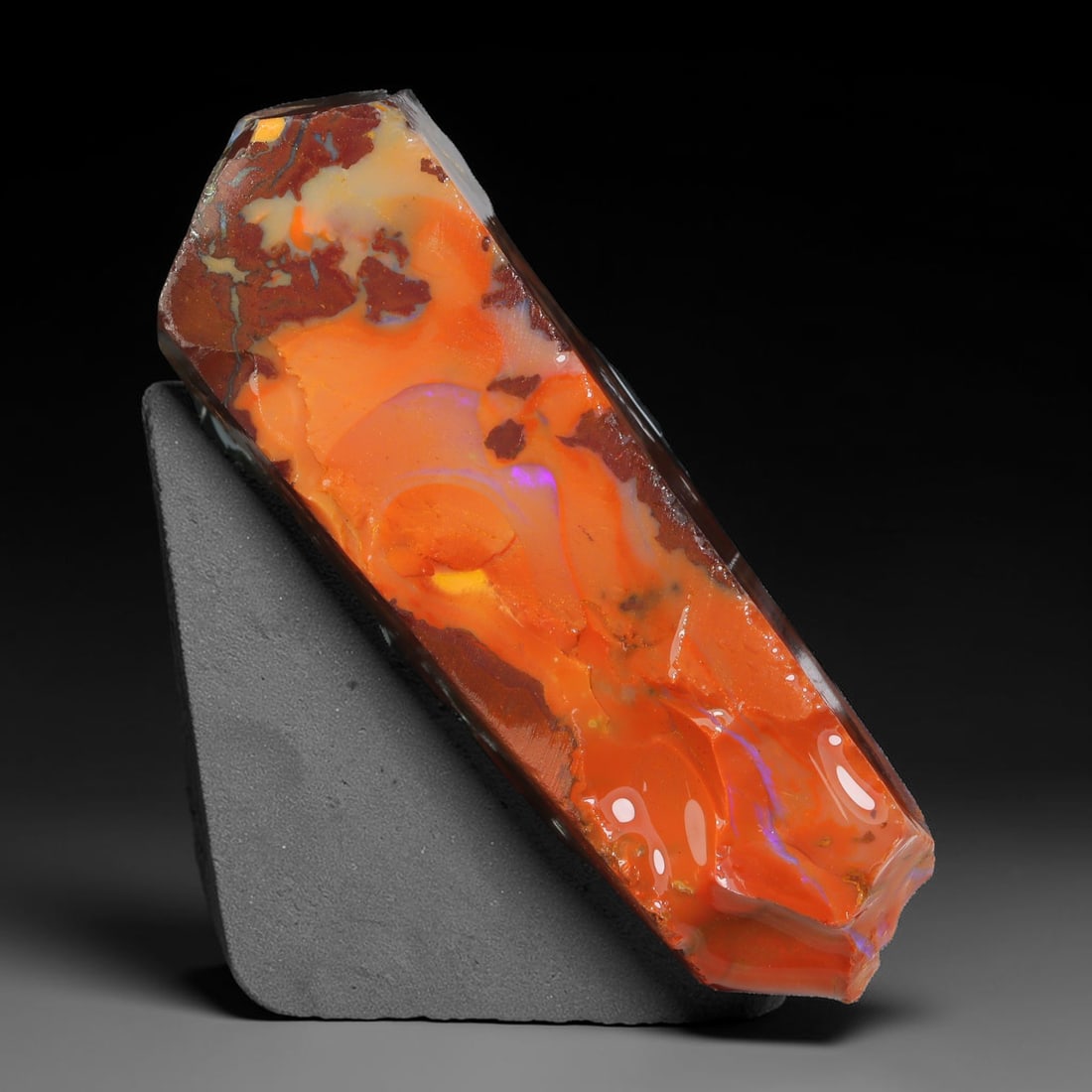 49.60ct Natural Australian Queensland Boulder Opal Sliced Slab Cutting Rough, 23YL: Natural sliced slab rough of Queensland boulder opal cutting grade, featuring rich color ironstone matrix with patterns. The face clearly reveals extensive opal veining and pocket formations running t