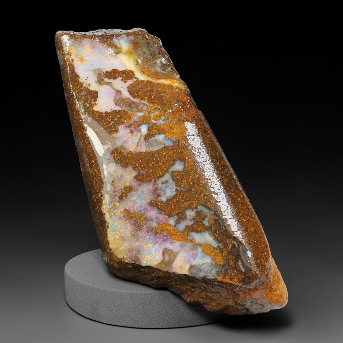 68.92ct Natural Australian Queensland Boulder Opal Sliced Slab Cutting Rough, 55YL: Natural sliced slab rough of Queensland boulder opal cutting grade, featuring rich color ironstone matrix with patterns. The face clearly reveals extensive opal veining and pocket formations running t