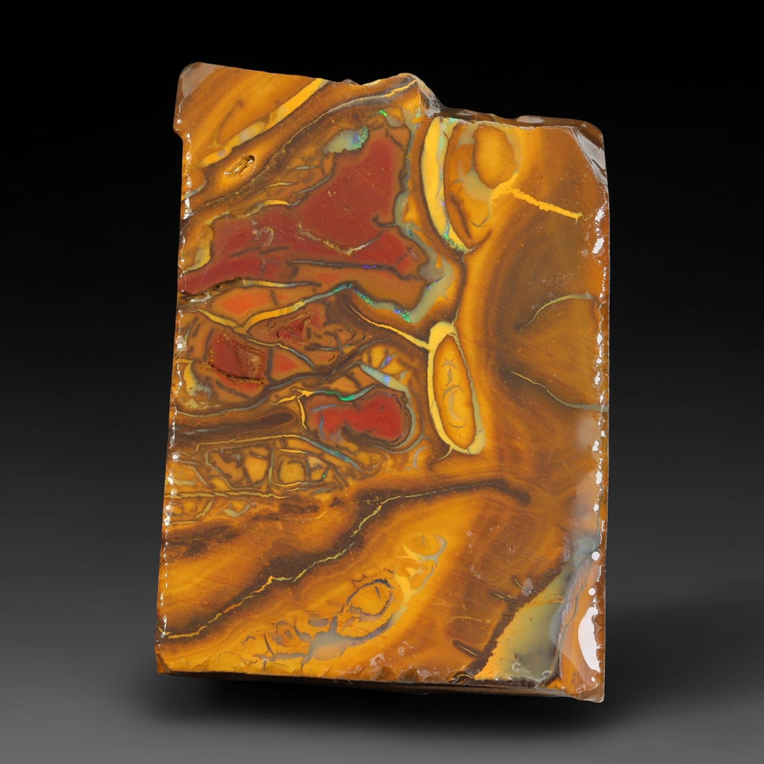 109.42ct Natural Australian Queensland Boulder Opal Sliced Slab Cutting Rough, 33YL: Natural sliced slab rough of Queensland boulder opal cutting grade, featuring rich color ironstone matrix with patterns. The face clearly reveals extensive opal veining and pocket formations running t