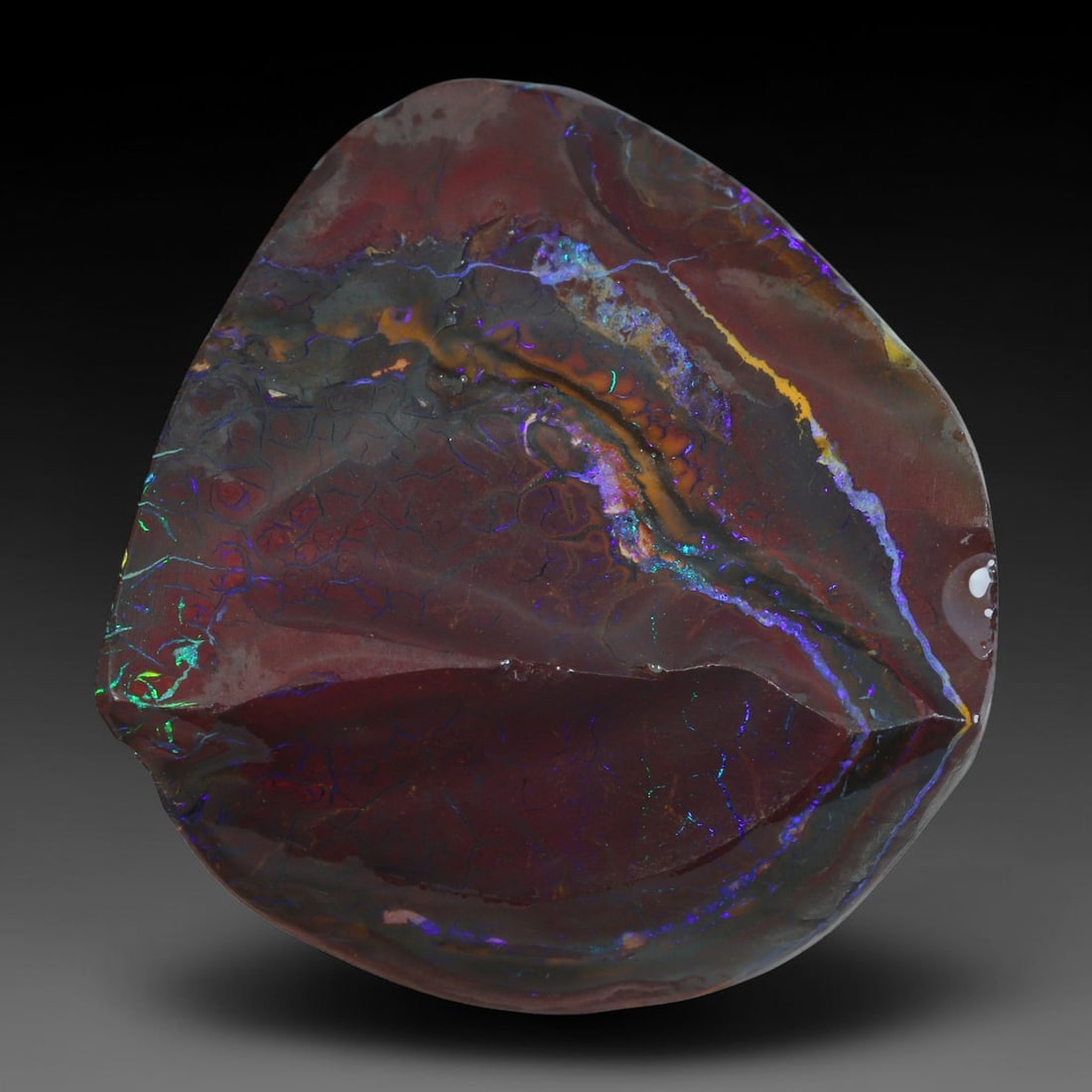 81.62ct Natural Australian Queensland Boulder Opal Sliced Slab Cutting Rough, 19YP: Natural sliced slab rough of Queensland boulder opal cutting grade, featuring rich color ironstone matrix with patterns. The face clearly reveals extensive opal veining and pocket formations running t