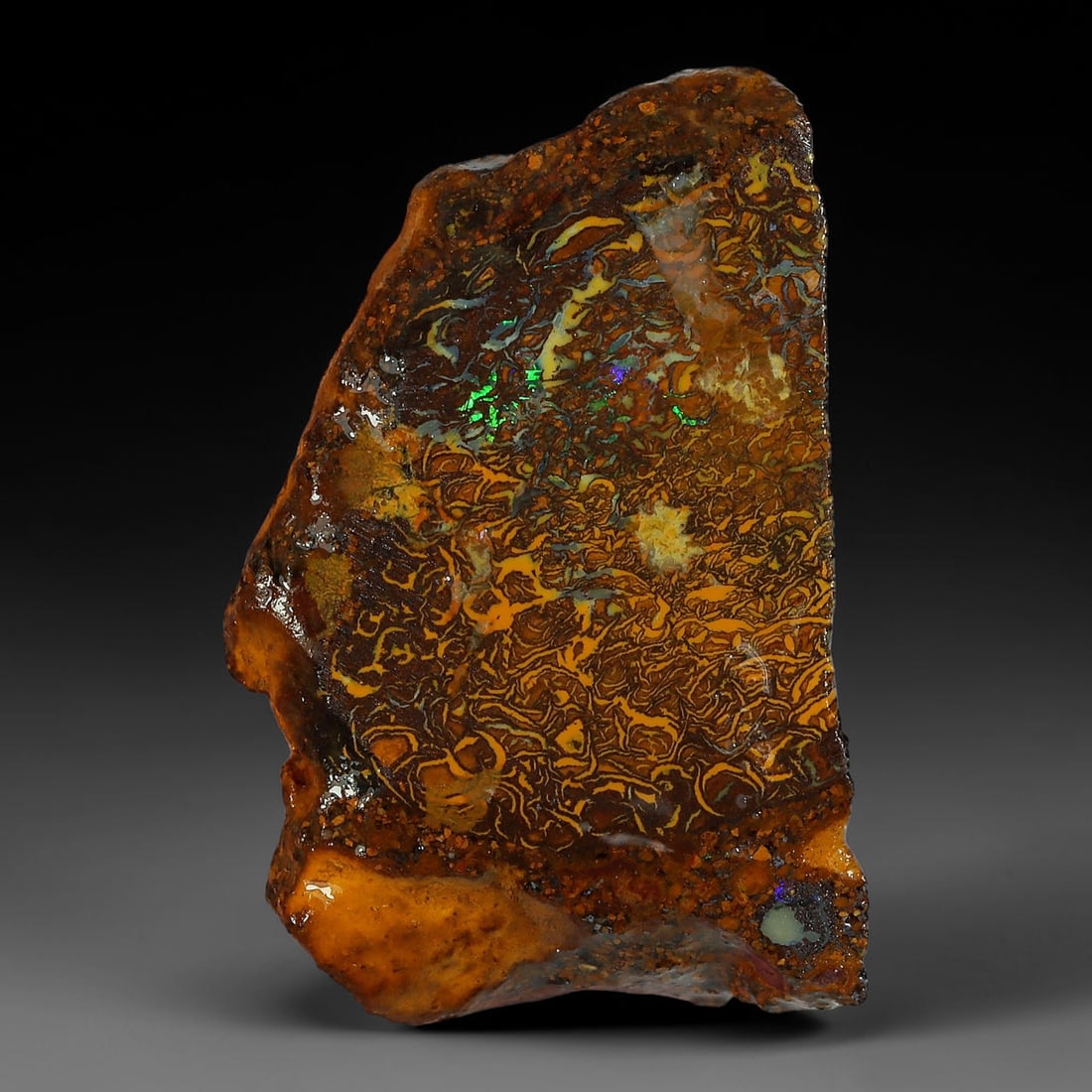 27.35ct Natural Australian Queensland Boulder Opal Sliced Slab Cutting Rough, 81YP: Natural sliced slab rough of Queensland boulder opal cutting grade, featuring rich color ironstone matrix with patterns. The face clearly reveals extensive opal veining and pocket formations running t