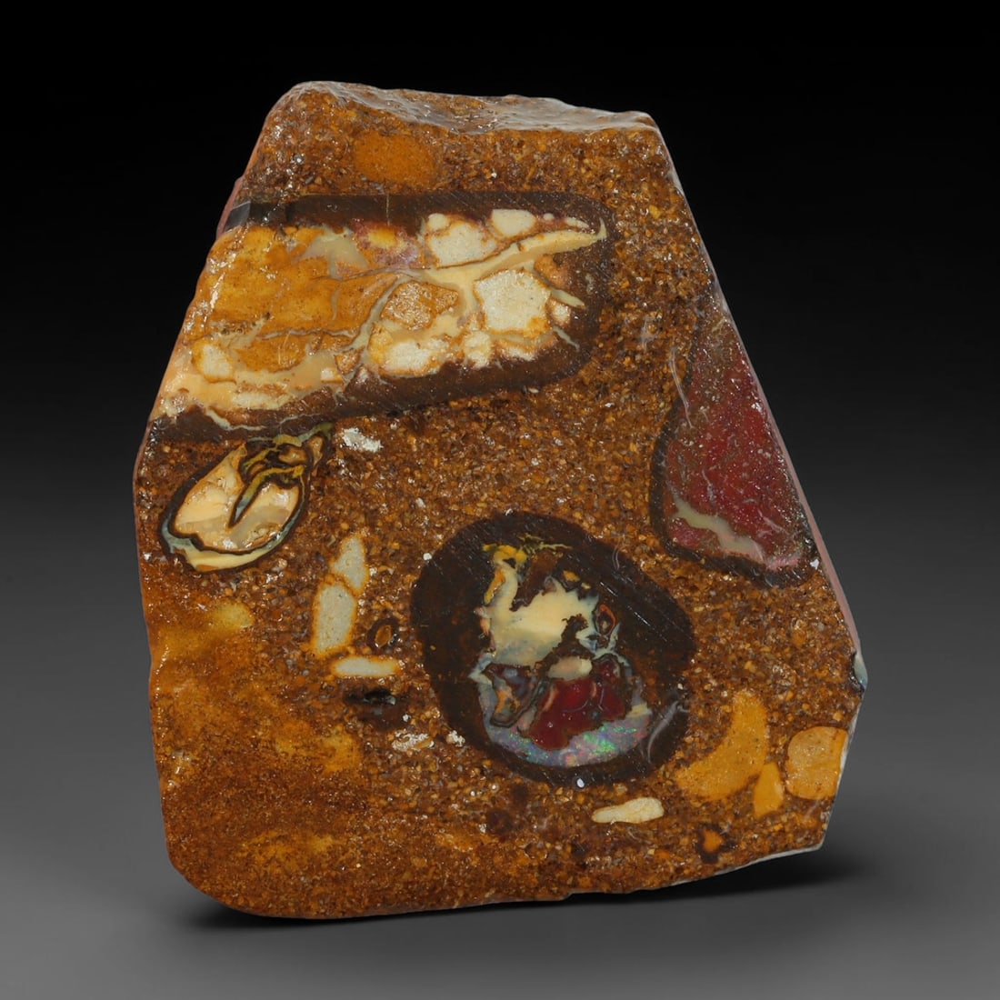 34.06ct Natural Australian Queensland Boulder Opal Sliced Slab Cutting Rough, 88YL: Natural sliced slab rough of Queensland boulder opal cutting grade, featuring rich color ironstone matrix with patterns. The face clearly reveals extensive opal veining and pocket formations running t