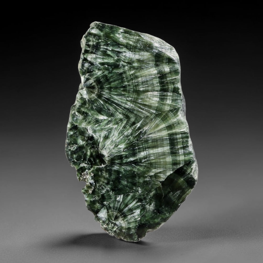 150ct Natural Siberian Seraphinite Polished Rough Slab, 82YK: This polished mineral slab is natural seraphinite originating from Siberian deposits, displaying characteristic radiating crystalline fibrous formations with layered deep forest and silvery green band