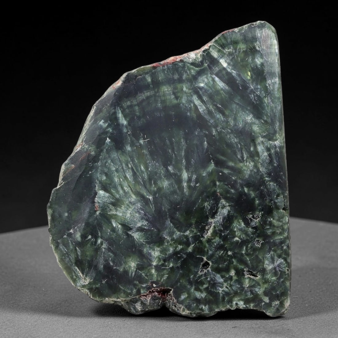 89ct Natural Siberian Seraphinite Polished Rough Slab, 28WV: This polished mineral slab is natural seraphinite originating from Siberian deposits, displaying characteristic radiating crystalline fibrous formations with layered deep forest and silvery green band