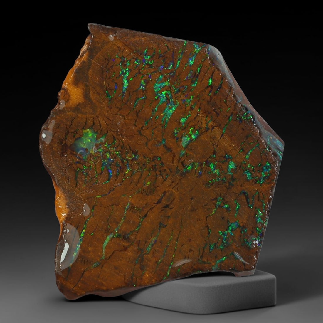 14.70ct Natural Australian Queensland Boulder Opal Sliced Slab Cutting Rough, 92YL: Natural sliced slab rough of Queensland boulder opal cutting grade, featuring rich color ironstone matrix with patterns. The face clearly reveals extensive opal veining and pocket formations running t