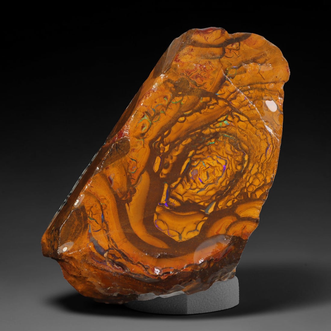 103.44ct Natural Australian Queensland Boulder Opal Sliced Slab Cutting Rough, 34YL: Natural sliced slab rough of Queensland boulder opal cutting grade, featuring rich color ironstone matrix with patterns. The face clearly reveals extensive opal veining and pocket formations running t
