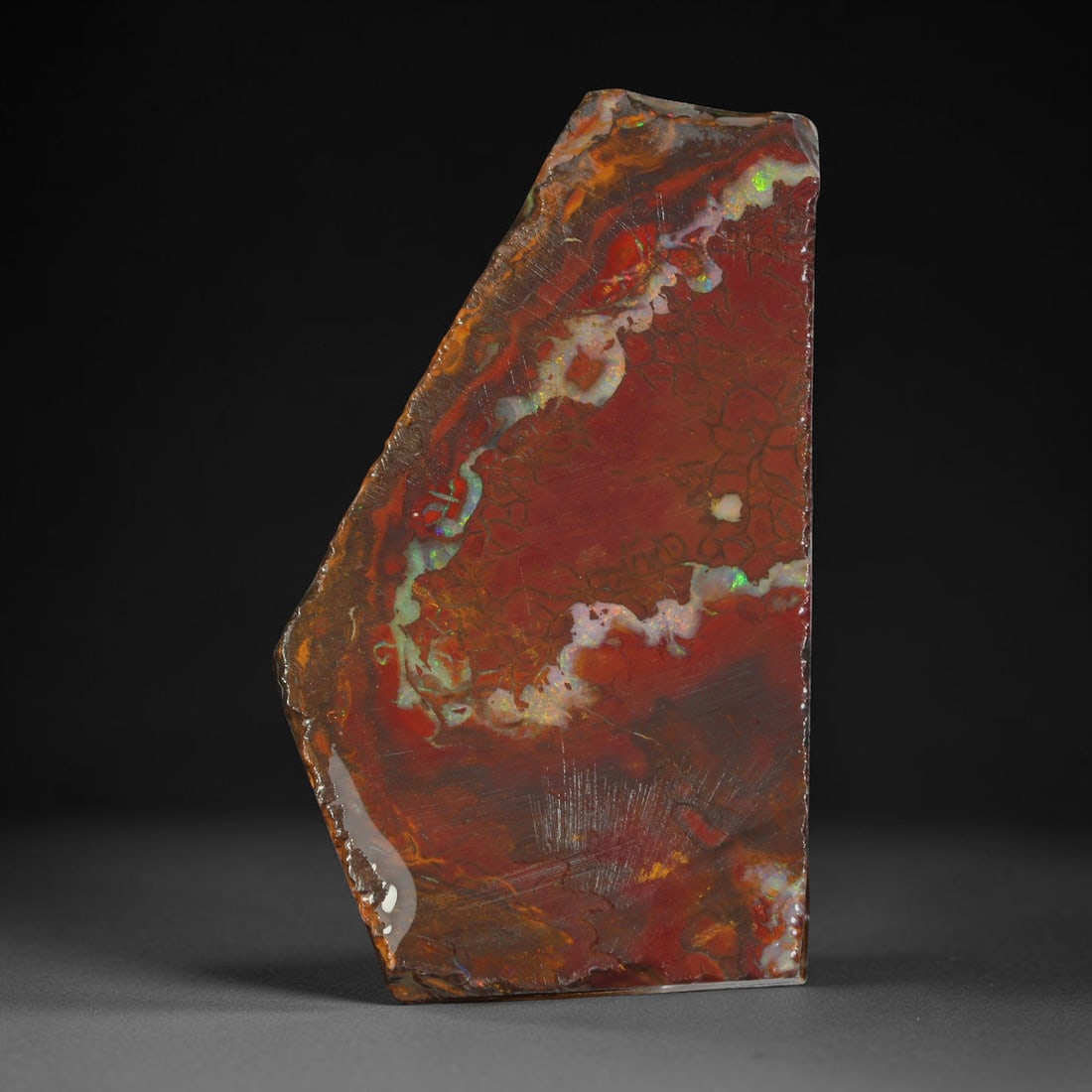 72.07ct Natural Australian Queensland Boulder Opal Sliced Slab Cutting Rough, 35YL: Natural sliced slab rough of Queensland boulder opal cutting grade, featuring rich color ironstone matrix with patterns. The face clearly reveals extensive opal veining and pocket formations running t