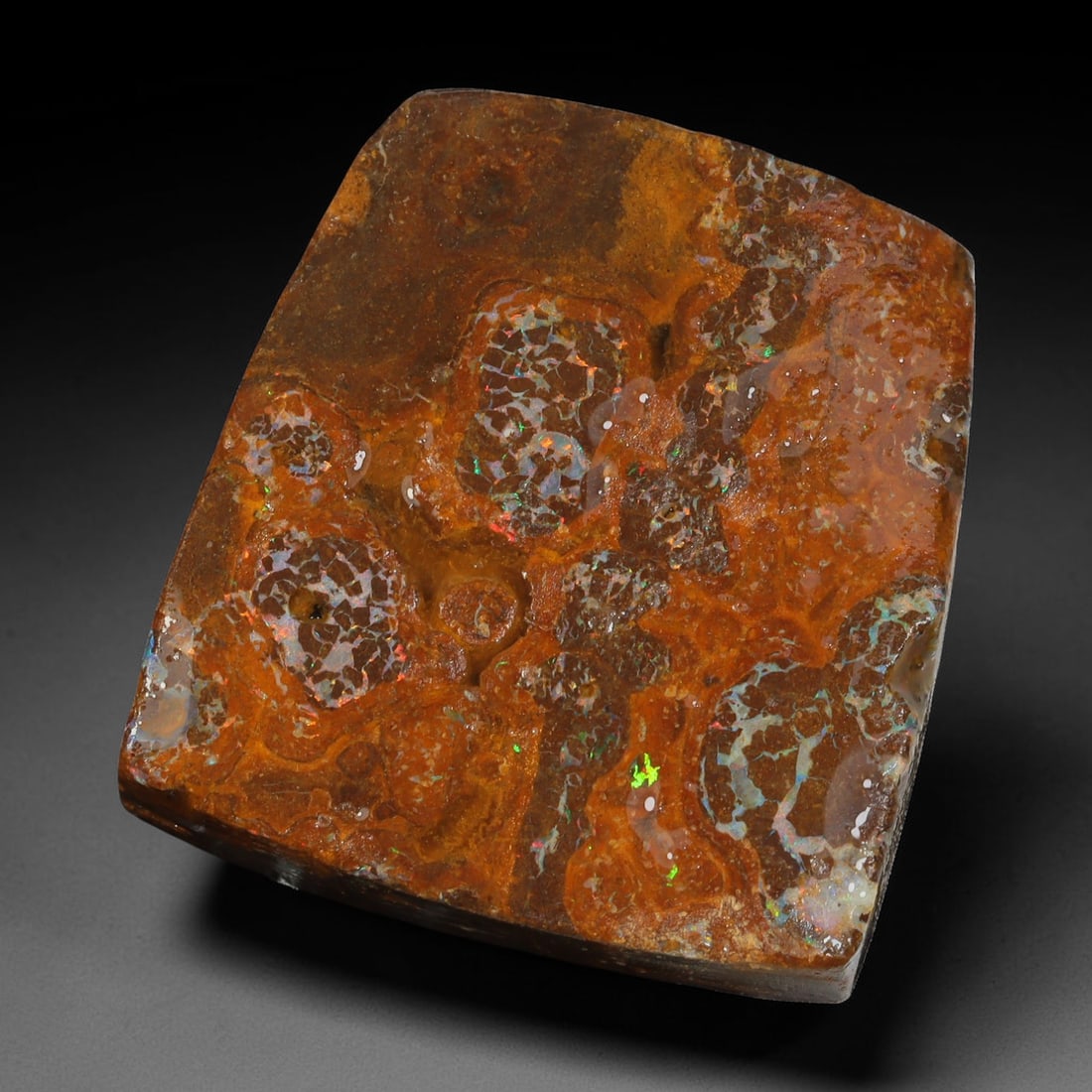 71.14ct Natural Australian Queensland Boulder Opal Sliced Slab Cutting Rough, 30YL: Natural sliced slab rough of Queensland boulder opal cutting grade, featuring rich color ironstone matrix with patterns. The face clearly reveals extensive opal veining and pocket formations running t