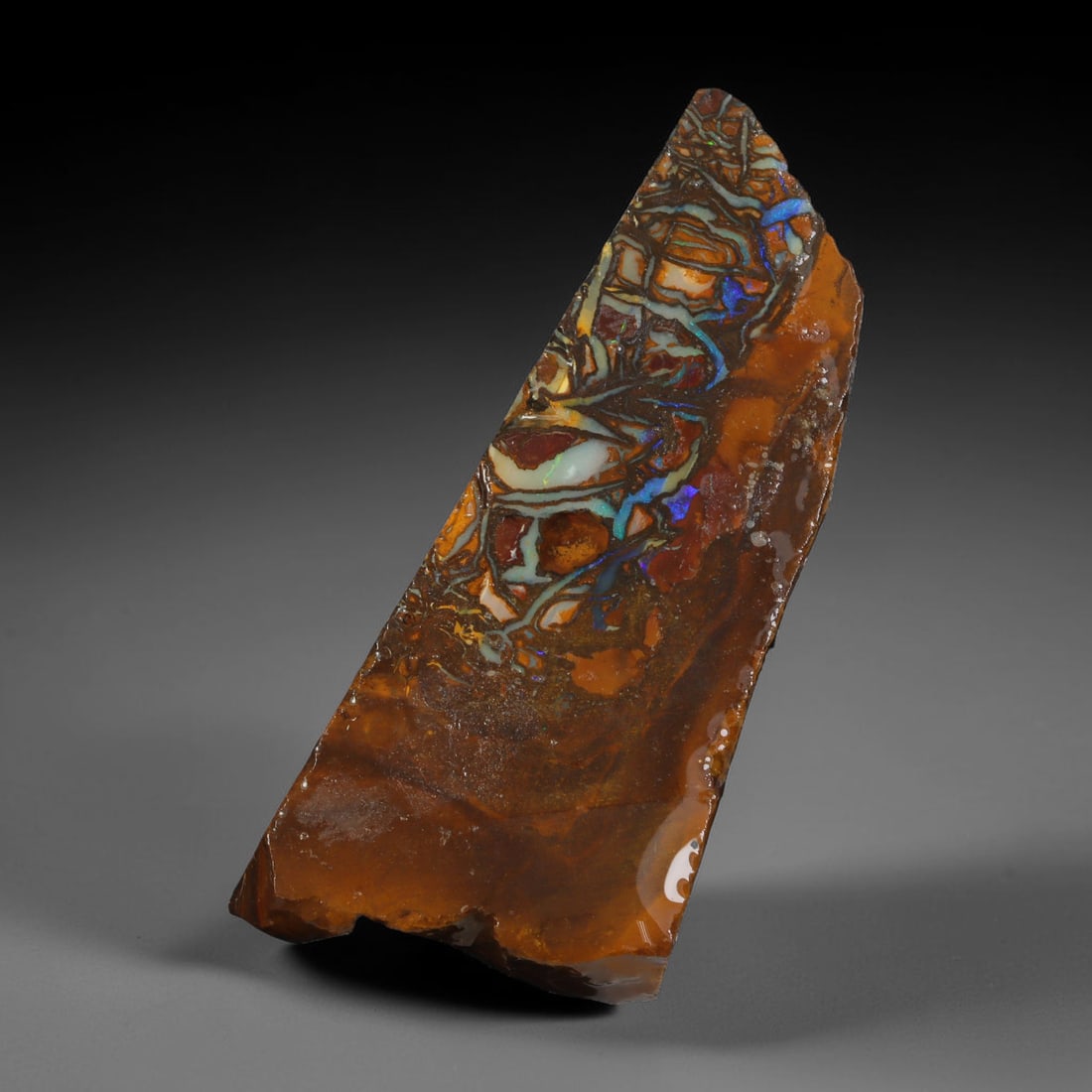 65.42ct Natural Australian Queensland Boulder Opal Sliced Slab Cutting Rough, 31YL: Natural sliced slab rough of Queensland boulder opal cutting grade, featuring rich color ironstone matrix with patterns. The face clearly reveals extensive opal veining and pocket formations running t