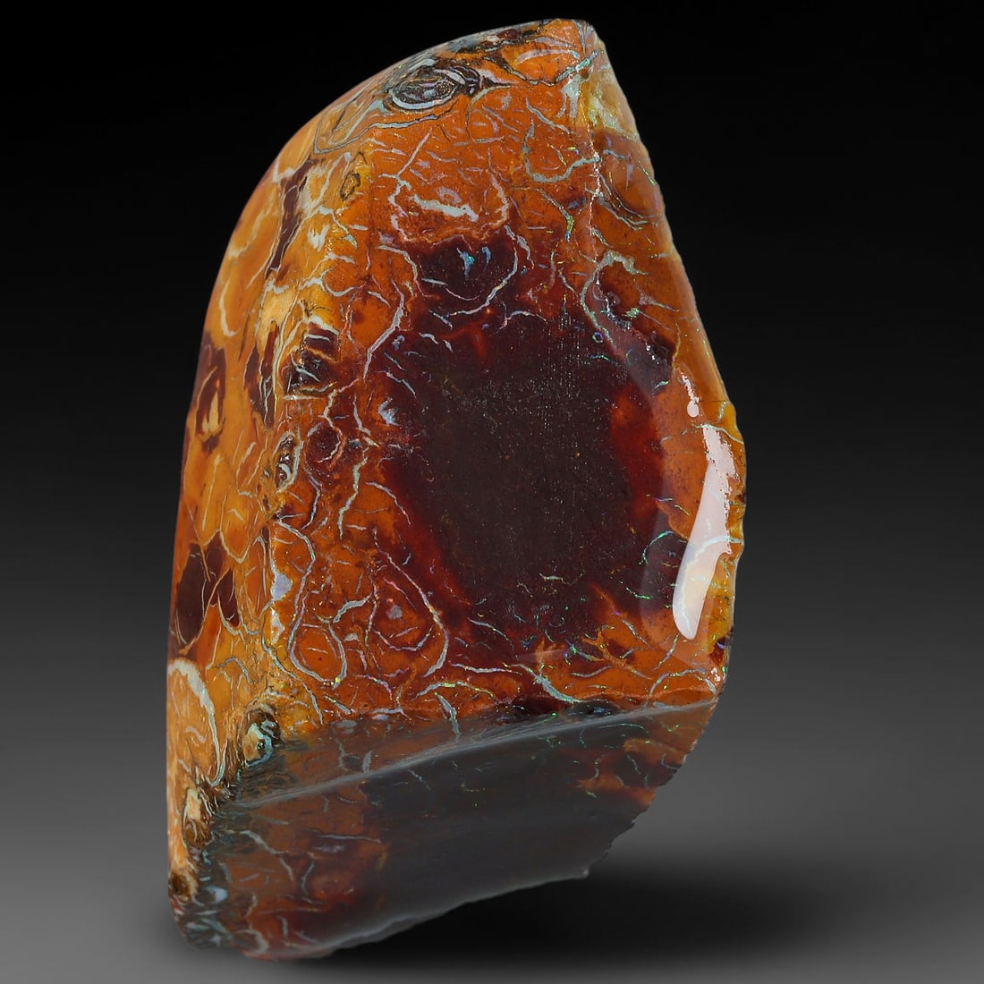 40.46ct Natural Australian Queensland Boulder Opal Sliced Slab Cutting Rough, 49YP: Natural sliced slab rough of Queensland boulder opal cutting grade, featuring rich color ironstone matrix with patterns. The face clearly reveals extensive opal veining and pocket formations running t