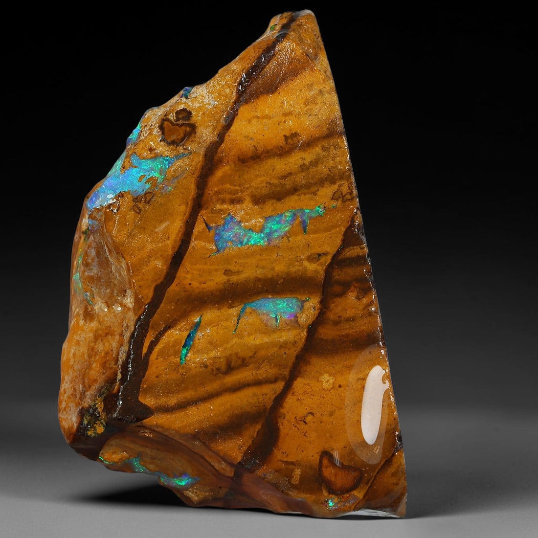 47.88ct Natural Australian Queensland Boulder Opal Sliced Slab Cutting Rough, 44YP: Natural sliced slab rough of Queensland boulder opal cutting grade, featuring rich color ironstone matrix with patterns. The face clearly reveals extensive opal veining and pocket formations running t