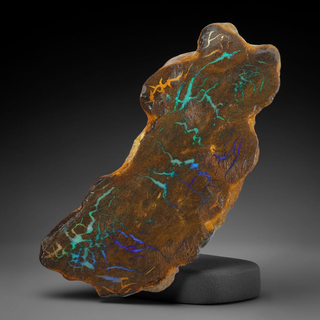 69.74ct Natural Australian Queensland Boulder Opal Sliced Slab Cutting Rough, 29YP: Natural sliced slab rough of Queensland boulder opal cutting grade, featuring rich color ironstone matrix with patterns. The face clearly reveals extensive opal veining and pocket formations running t