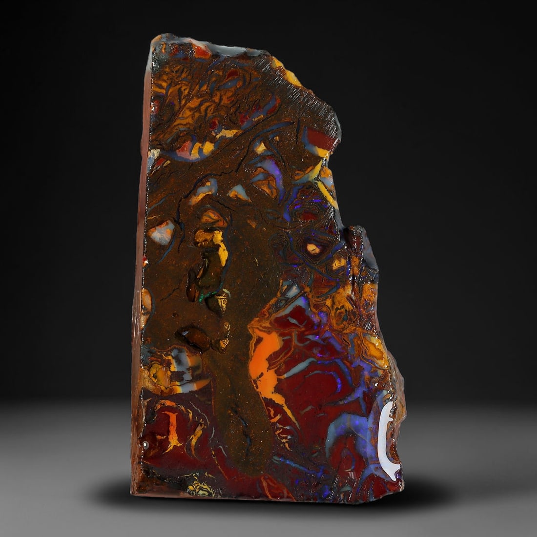 47.67ct Natural Australian Queensland Boulder Opal Sliced Slab Cutting Rough, 94YP: Natural sliced slab rough of Queensland boulder opal cutting grade, featuring rich color ironstone matrix with patterns. The face clearly reveals extensive opal veining and pocket formations running t