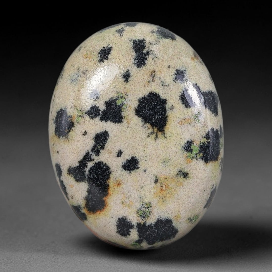 21.90 Carats Natural Dalmatian Jasper Oval Cabochon Gemstone, 33XZ: I've got a real nice little gem here to show you, this fun patterned oval cabochon cut from genuine Dalmatian jasper with one-of-a-kind spotted markings all over its face. This smooth domed cab measur