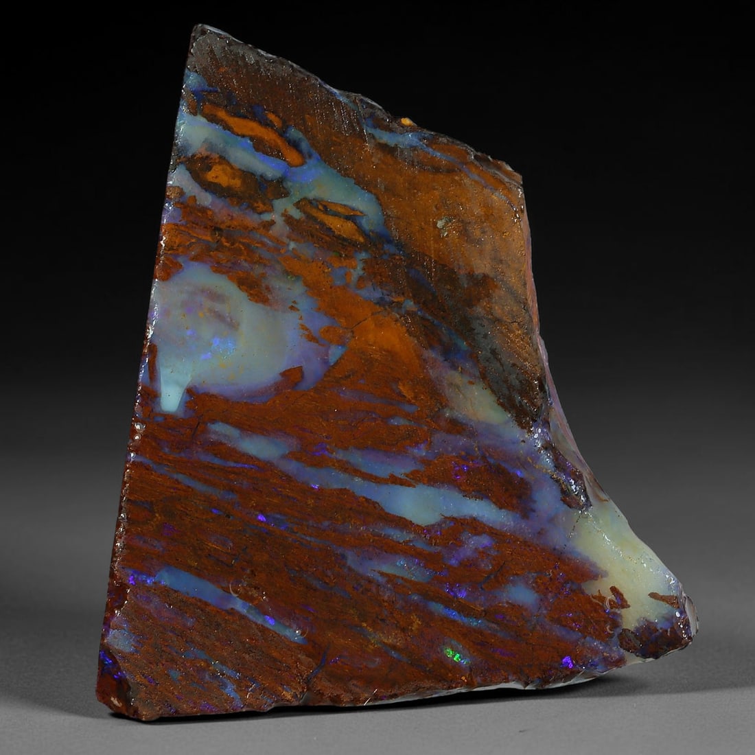 38.03ct Natural Australian Queensland Boulder Opal Sliced Slab Cutting Rough, 55YP: Natural sliced slab rough of Queensland boulder opal cutting grade, featuring rich color ironstone matrix with patterns. The face clearly reveals extensive opal veining and pocket formations running t