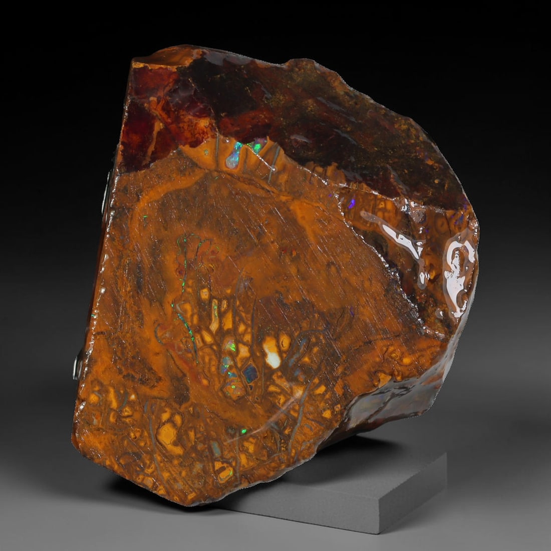 42.11ct Natural Australian Queensland Boulder Opal Sliced Slab Cutting Rough, 60YL: Natural sliced slab rough of Queensland boulder opal cutting grade, featuring rich color ironstone matrix with patterns. The face clearly reveals extensive opal veining and pocket formations running t