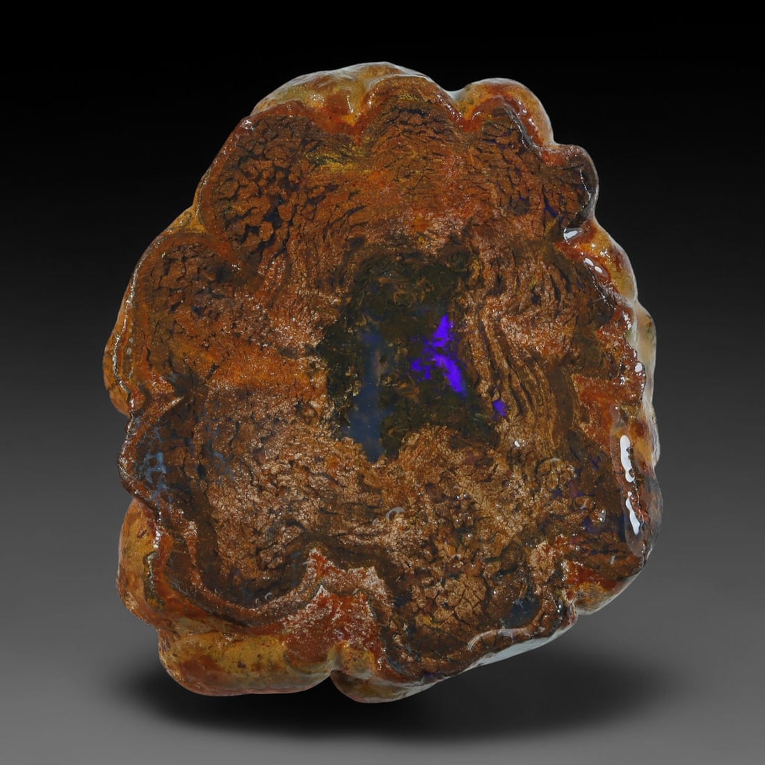 49.05ct Natural Australian Queensland Boulder Opal Sliced Slab Cutting Rough, 96YL (1 of 2)