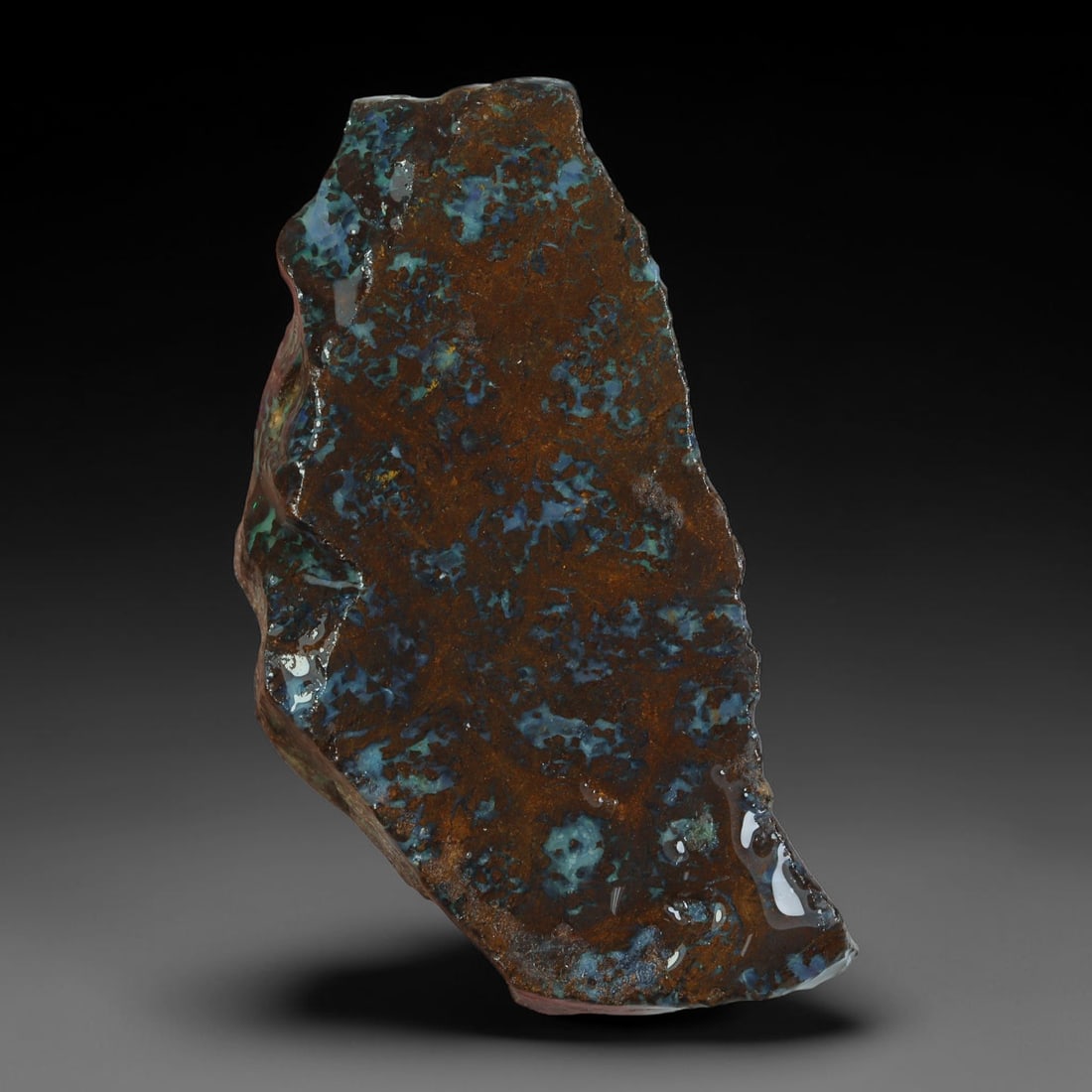 45.89ct Natural Australian Queensland Boulder Opal Sliced Slab Cutting Rough, 64YP: Natural sliced slab rough of Queensland boulder opal cutting grade, featuring rich color ironstone matrix with patterns. The face clearly reveals extensive opal veining and pocket formations running t