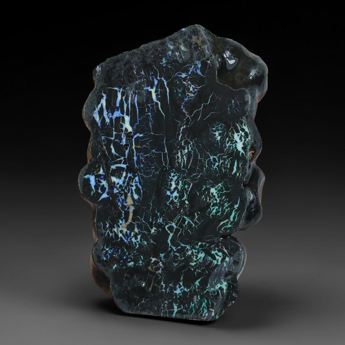 48.45ct Natural Australian Queensland Boulder Opal Sliced Slab Cutting Rough, 63YP: Natural sliced slab rough of Queensland boulder opal cutting grade, featuring rich color ironstone matrix with patterns. The face clearly reveals extensive opal veining and pocket formations running t